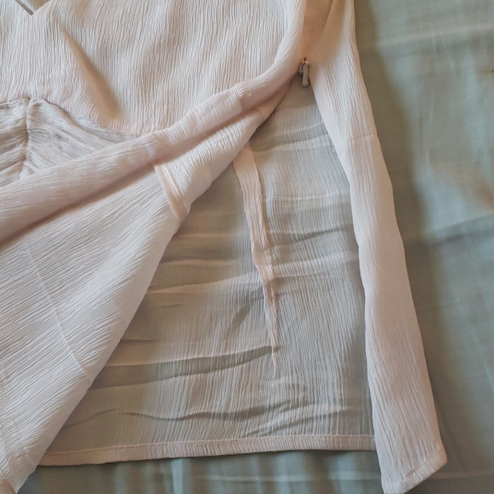 Pink Silk Shift - Picture 6 of 8
